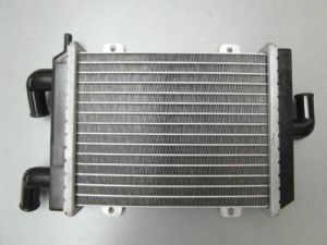 Radiateur voor Peugeot Speedfight 2