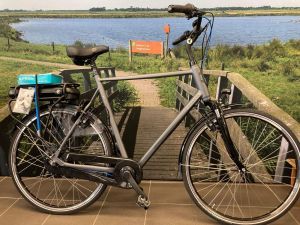 Sparta A-Lane R5e LTD Heren 500wh